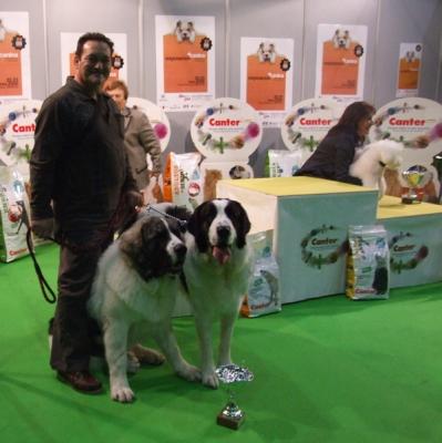 PESIC DE CABESO ROIG Y MEDEA DE HARAS DE MARMARIA 3ª MEJOR PAREJA DE LA EXPO INTERNACIONAL DE MURCIA.