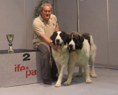 PESIC DE CABESO ROIG Y MEDEA DE HARAS DE MARMARIA 2ª MEJOR PAREJA DE LA EXPOSICION NACIONAL DE MURCIA 21-11-2009.