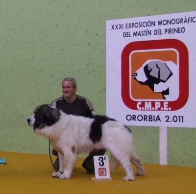 PESIC DE CABESO ROIG, EXCELENTE 3º EN LA MONOGRAFICA DEL C.M.P.E. 12-03-2011.