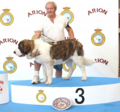 BACO DE CAMPO OLIMPO MUY BUENO 1º Y 3º MEJOR CACHORRO DEL GRUPO II EN LA EXPO INTERNACIONAL DE CASTILLA LA MANCHA 8-10-2011