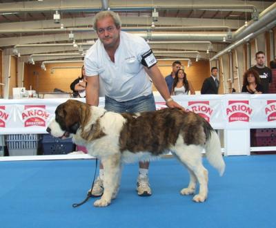BACO DE CAMPO OLIMPO MUY BUENO 1º EN LA EXPO INTERNACIONAL DE OTOÑO 9-10-2011