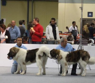 BASTIAAN Y BACO DE CAMPO OLIMPO, EN LA EXPOSICION NACIONAL DE VALENCIA 17-12-2011