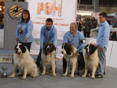 CAMPO OLIMPO 3º MEJOR LOTE DE CRIA DE LA EXPOSICION INTERNACIONAL DE VALENCIA 18-12-2011