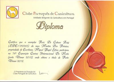 "PORTO WINNER" 2012. TITULO CONSEGUIDO EN OPORTO POR PESIC DE CABESO ROIG 28-01-12