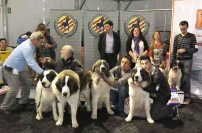 CAMPO OLIMPO B.I.S EN LOTE DE CRIA, III CONCURSO CANINO DE LA CIUDAD DE GANDIA, 13-03-2012