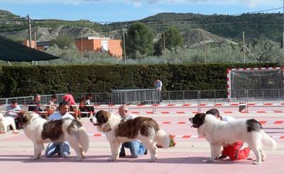 LOS JOVENES DE CAMPO OLIMPO TRIUNFAN EN LA XXV EXPO NACIONAL DE MURCIA, 21-04-2012