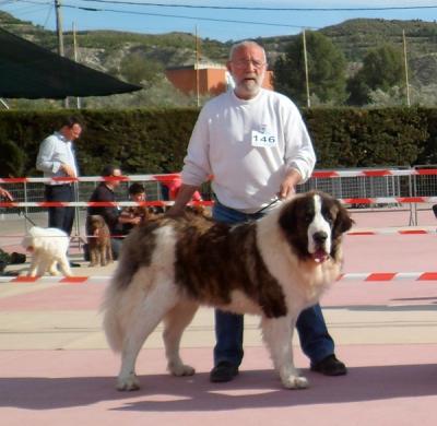 BACO DE CAMPO OLIMPO. EXC,3º EN LA 84 EXPOSICION INTERNACIONAL DE PRIMAVERA 26 Y 27-05-2012