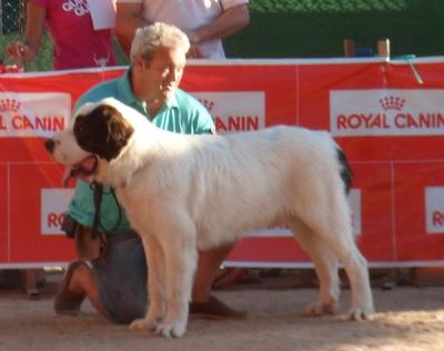 CREONTE DE CAMPO OLIMPO. MUY BUENO 1º EN LA XXI EXPOSICION INTERNACIONAL DE CASTELLON 17-6-2012