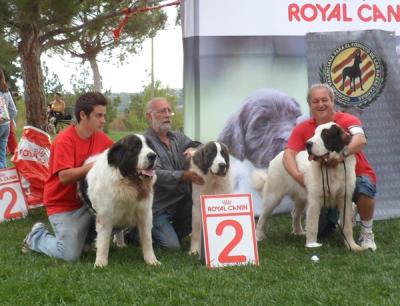 CAMPO OLIMPO 2º MEJOR LOTE DE CRIA DEL Ier CONCURSO CIUDAD DE CHESTE 12-10-2012
