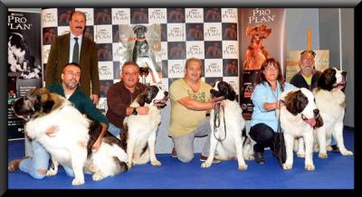 CAMPO OLIMPO 3er MEJOR LOTE DE CRIA DE LA XXVI EXPO NACIONAL DE MURCIA 10-11-2012