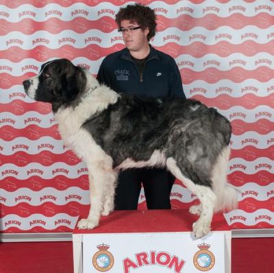 COSMO DE CAMPO OLIMPO, EXC 1º Y C.A.C. EN LA 33 EXPO INTERNACIONAL DE ALICANTE 8-12-2013